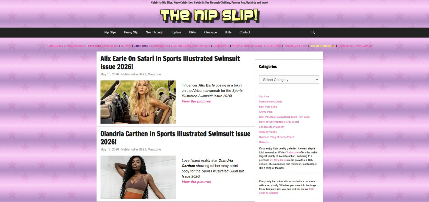 Thenipslip.com